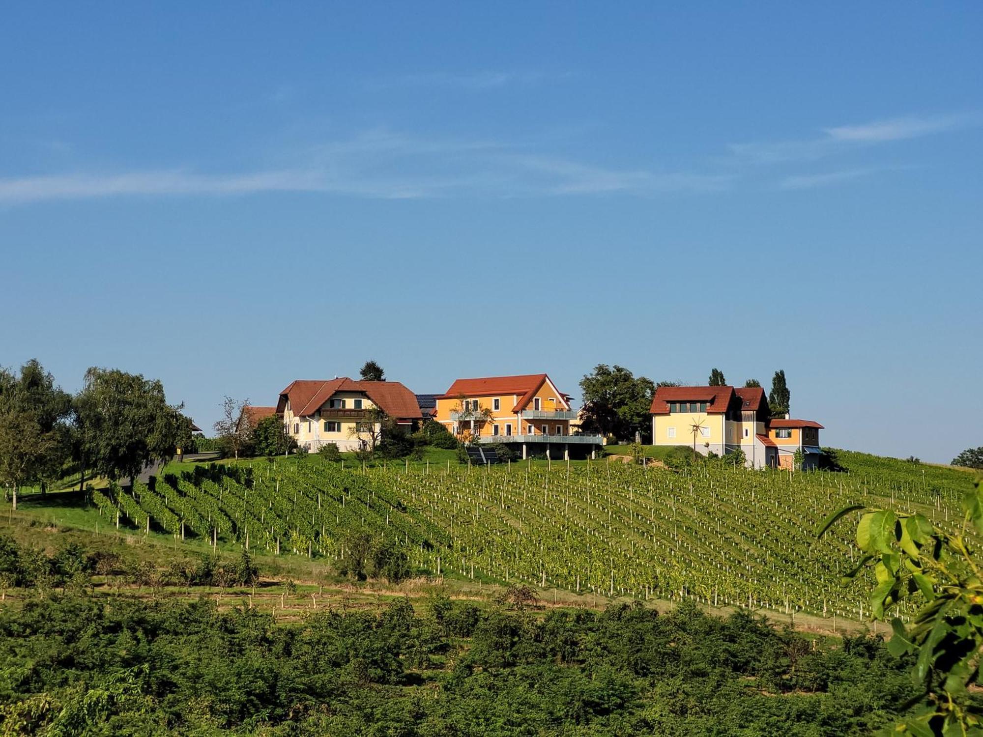 Weinhof Reichmann Bed and Breakfast Sankt Peter am Ottersbach Buitenkant foto